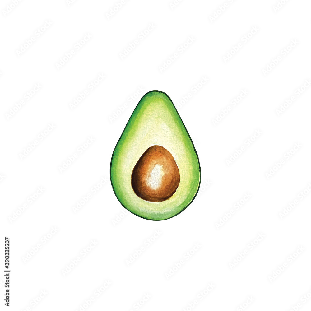 Realistic avocado digital watercolor illustration. Cut green avocado with bone isolated on white background.