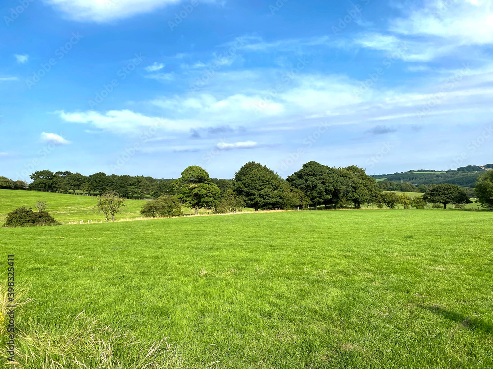 Rural scene, with a large meadow, old trees and fields, in the distance near, Bradford, Yorkshire, UK Rural scene, with a large meadow, old trees and fields, in the distance near, Bradford, Yorkshire, UK