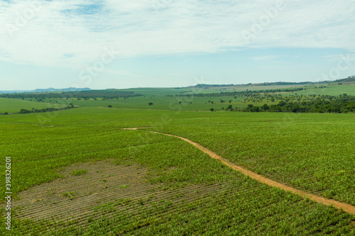 aerial view of sugar cane plantation failures - Brazil