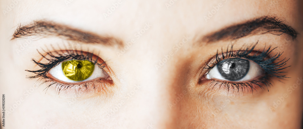 Naklejka premium close up gray and yellow Illuminating Eyes, concept photo of year color, 2021.
