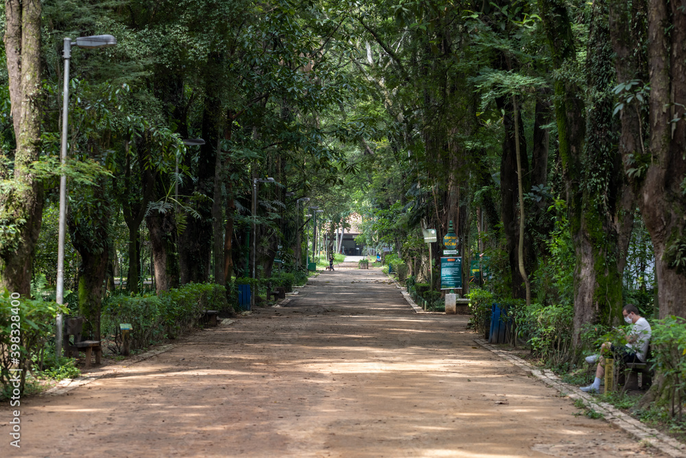 Fototapeta premium Parque do Piqueri em São Paulo