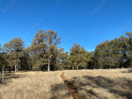 Canvas Print Red Dirt Trail at Olmstead Park in the Auburn State Recreation Area