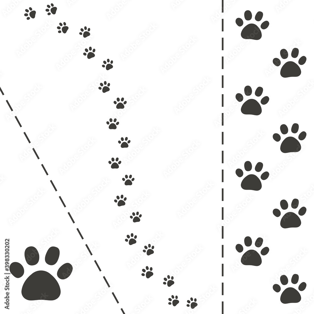 Cat foot trail. Paw prints on white background.