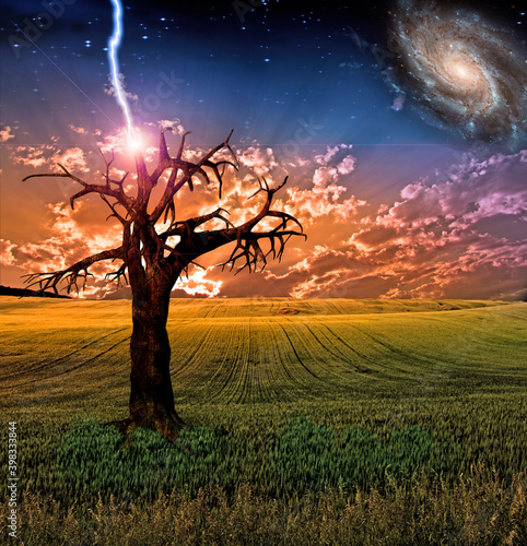 Surreal Sunset Field. Lightning strikes to the tree. 3D rendering