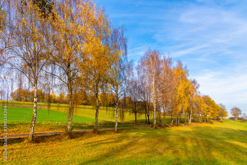 Fototapeta premium Burg Braunfels in Hessen im Herbst, ist immer eine Reise wert