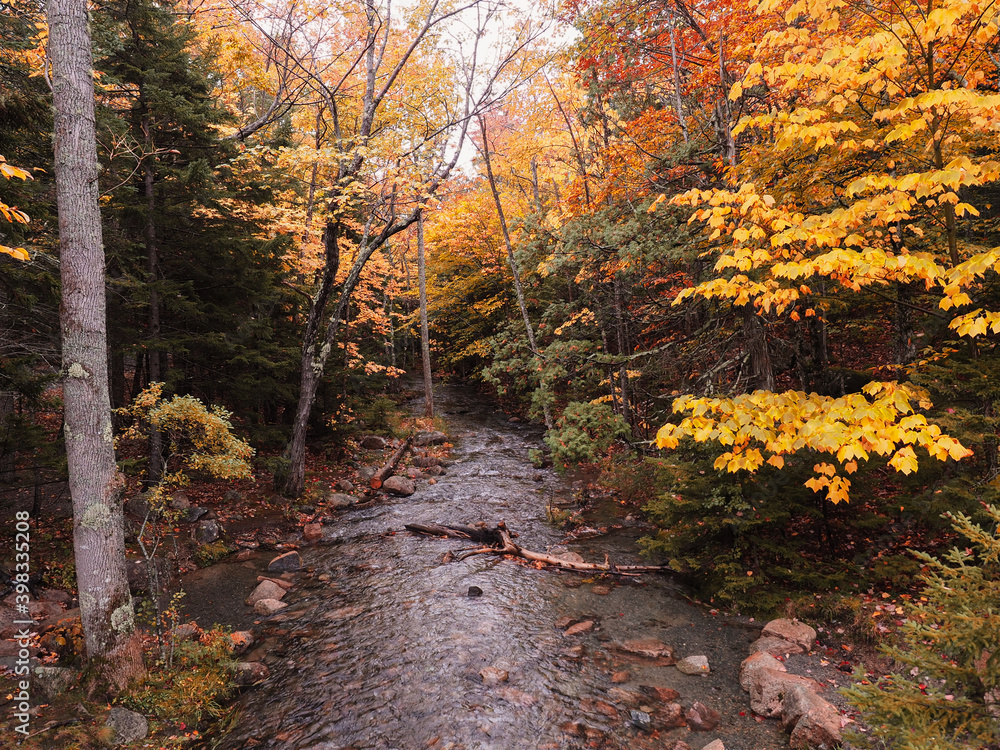 Fototapeta premium autumn stream 