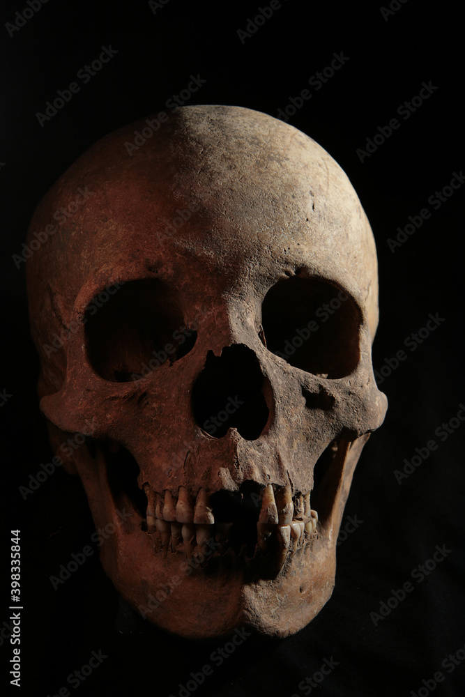 Fototapeta premium skull on black