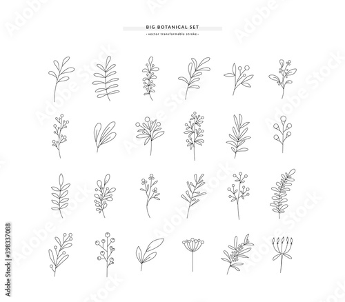 Vector set of different botanical design elements, branches with leaves and berries in modern linear style. Transformable stroke.