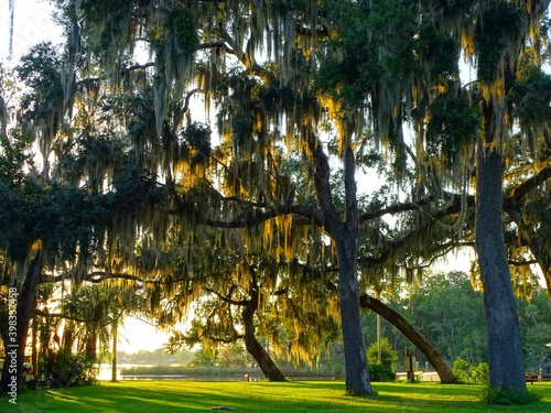 United States, Florida, Citrus County, City of Crystal River, Crystal River National Wildlife Refuge
