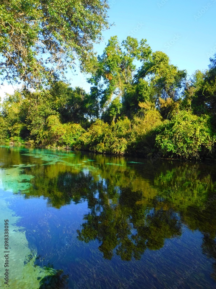United States, Florida, Hernando County, Weeki Watchee river United States, Florida, Hernando County, Weeki Watchee river