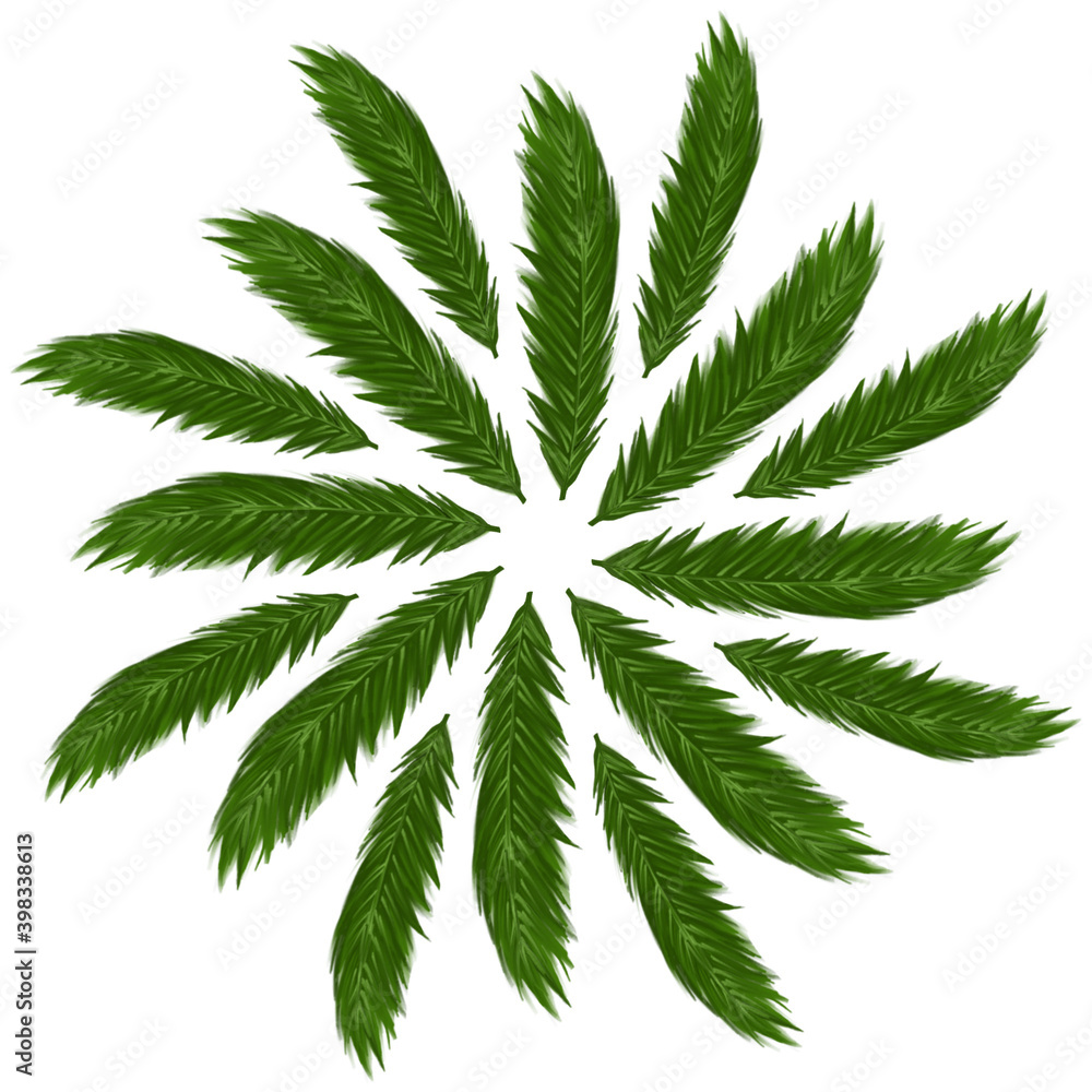 palm branches on white palm branches on white