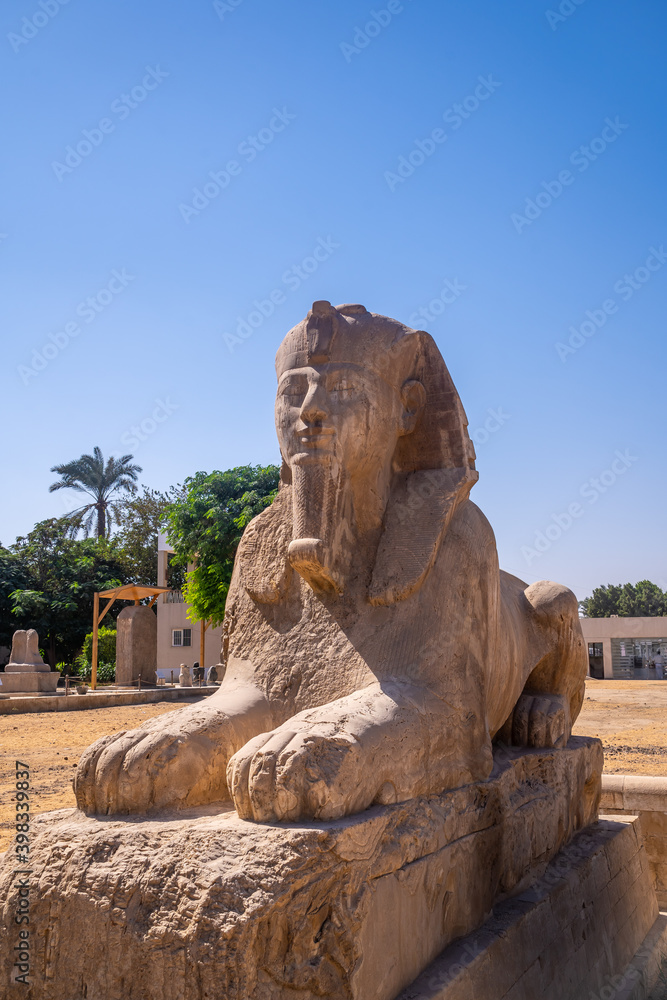 Detail of the precious Sphinx of Memphis in Cairo, Egypt. Ancient city in which the god Ptah was worshiped