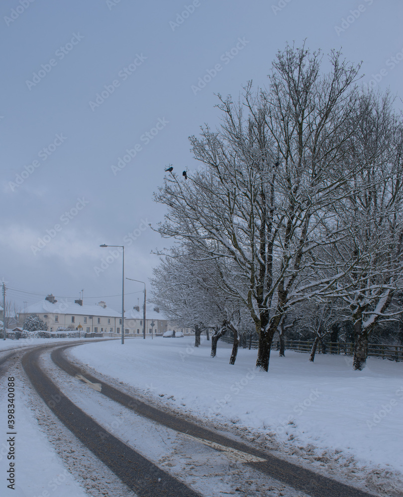 Snowy road. Winter snowfall. Trees in the snow. Snowy road. Winter snowfall. Trees in the snow.