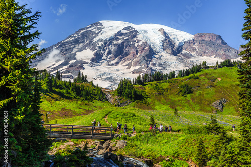 Fototapeta Naklejka Na Ścianę i Meble -  Mountain Rainier from the Skyline Trail, Paradise Valley, Mt Rainier National Park, Washington