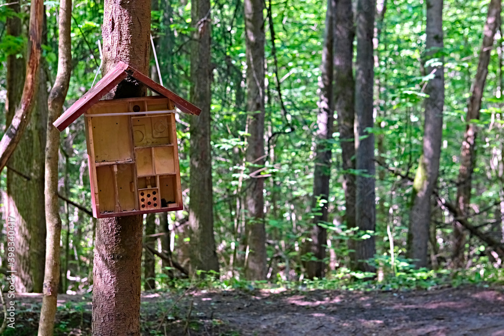 Feeder for squirrels and birds in the park that is in the city. general plan