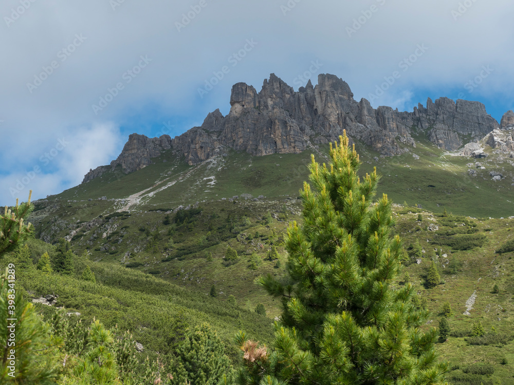 view on limestone moutain peaks and pine trees at Stubai Hohenweg, Alpine landscape of Tirol Alps, Austria. Summer blue sky, white clouds
