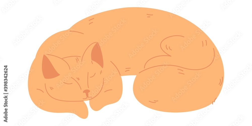 Peach cat sleeping isolated on white. Cartoon vector illustration Peach cat sleeping isolated on white. Cartoon vector illustration