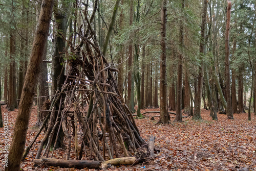 wooden bivouac skeleton in an english woodland