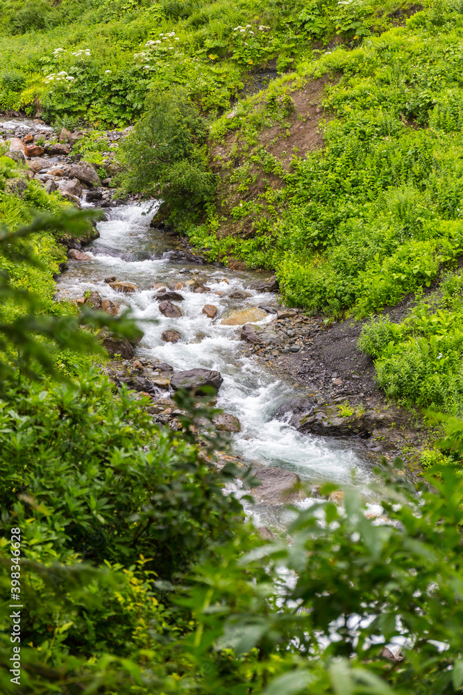 Beautiful rocky creek in the Caucasus mountains forest Beautiful rocky creek in the Caucasus mountains forest
