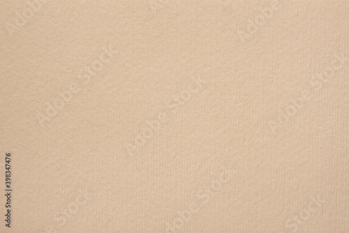 Canvas Print Texture of old organic light beige paper, background, copy space