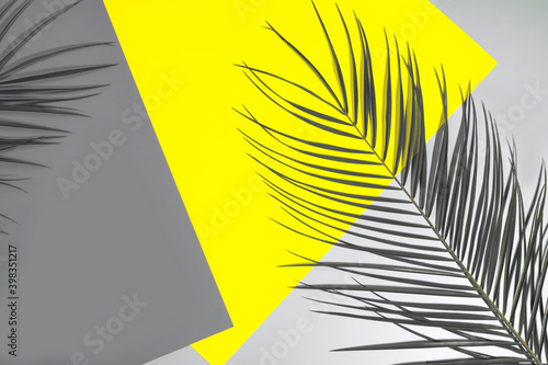 Demonstrating trendy colors 2021 - Gray and Yellow. Tropical leaves on divided abstract background.