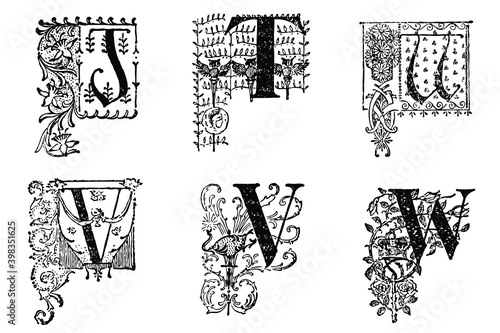 Assorted vintage engraved illustrated ornate letters, Black and White. 