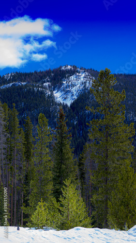 Bottom of Rocky Mountains, CO, USA. Snow. Green fir trees.