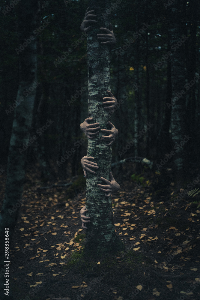 Creepy Conceptual Hands Grabbing Tree In Horror Forest Stock Photo ...