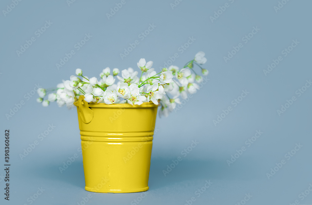 bouquet of small spring flowers in small metal bucket of Illuminating yellow color on soft blue empty background. selective focus
