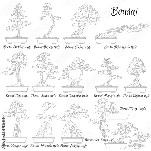 Bonsai. Different styles of miniature trees. The art of growing dwarf plants.