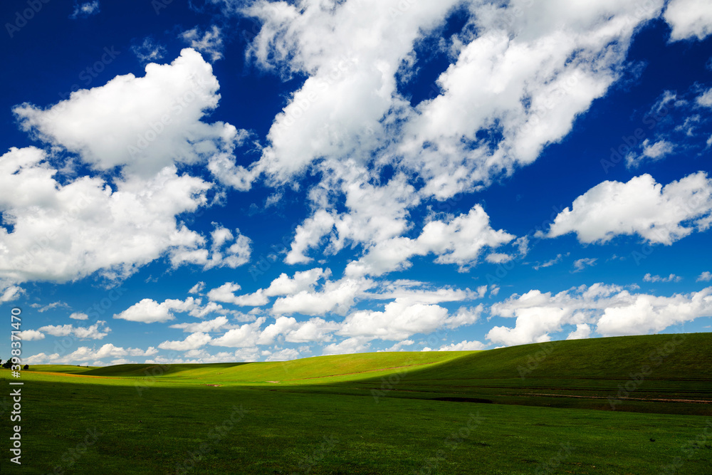 The beautiful summer grassland scenic of Hulunbuir of China. The beautiful summer grassland scenic of Hulunbuir of China.