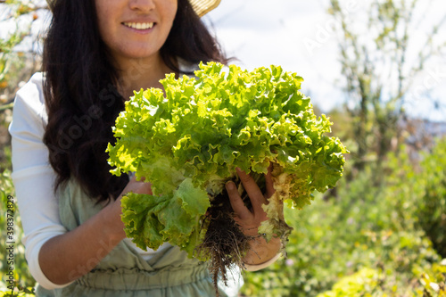 Unrecognizable smiling woman holding a freshly harvested lettuce