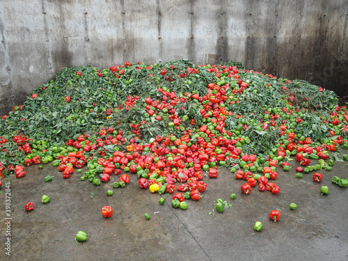 Принти на полотні Expired Paprica is feedstock for biogas production