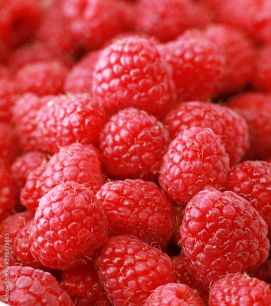 Guest raspberries. Pattern with red berries Guest raspberries. Pattern with red berries