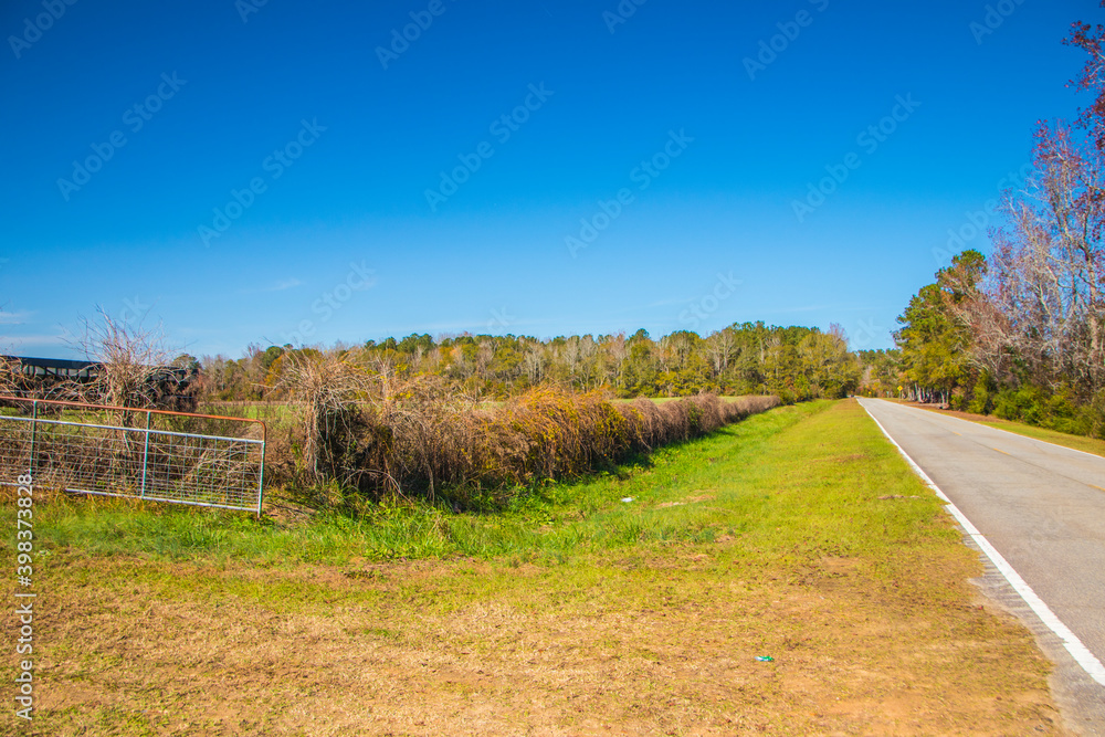Fototapeta premium Road in the country with beautiful Fall colors and farm land