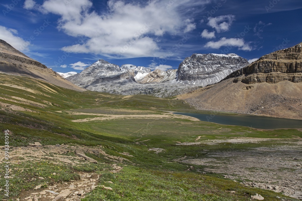 Dolomite Pass Green Alpine Meadow and Rugged Mountain Peaks Landscape on Great Hiking Trail in Siffleur Wildernes, Banff National Park, Canadian Rockies