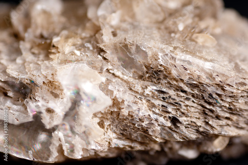 Tableau sur toile gypsum mineral sample