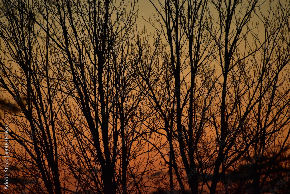 sky after fall sky after fall