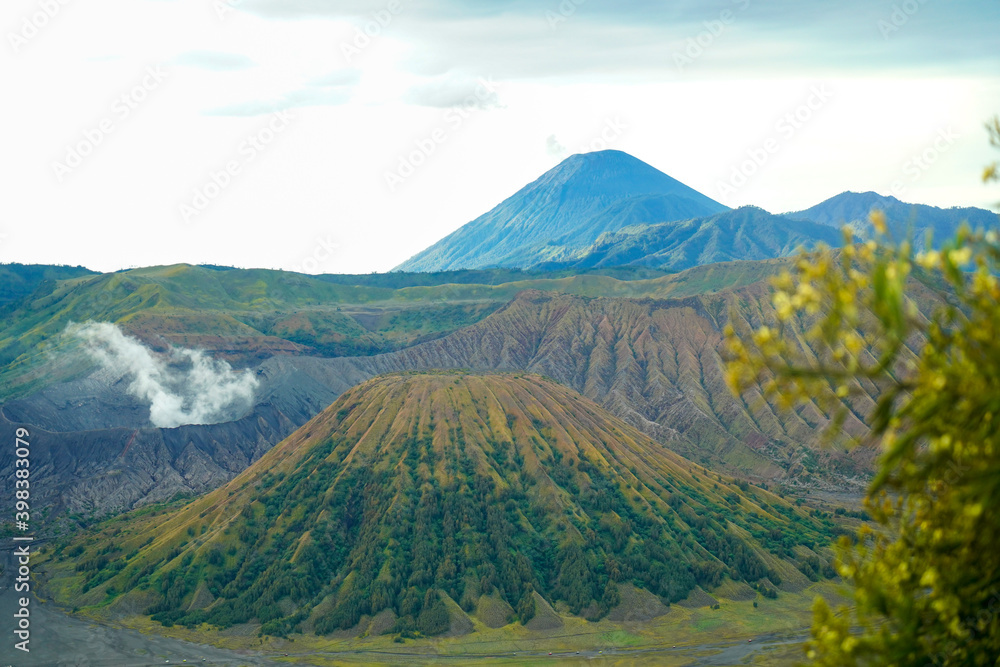 Beautiful savanna around Mount Bromo
