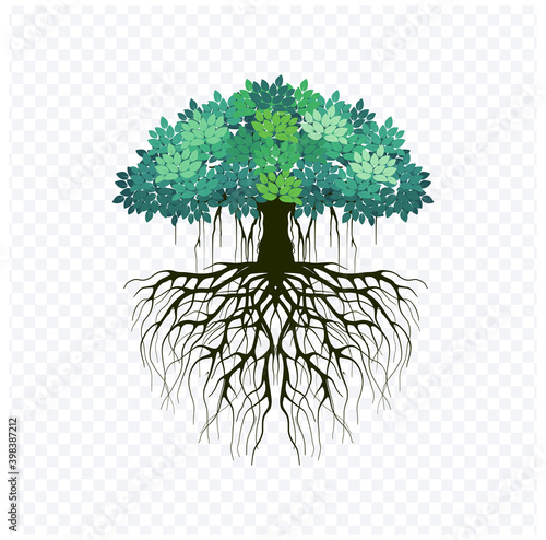 banyan tree logo design, broadest tree vector illustration	