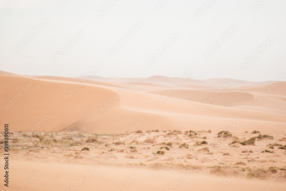 Sand dunes in Gobi desert. Mongilian landscapes