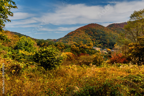 Landscape of mountain valley with trees in autumn colors