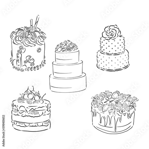 Vector collection of cakes images and arts. cake vector sketch illustration