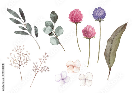 ナチュラルな花と葉っぱの素材　水彩イラスト