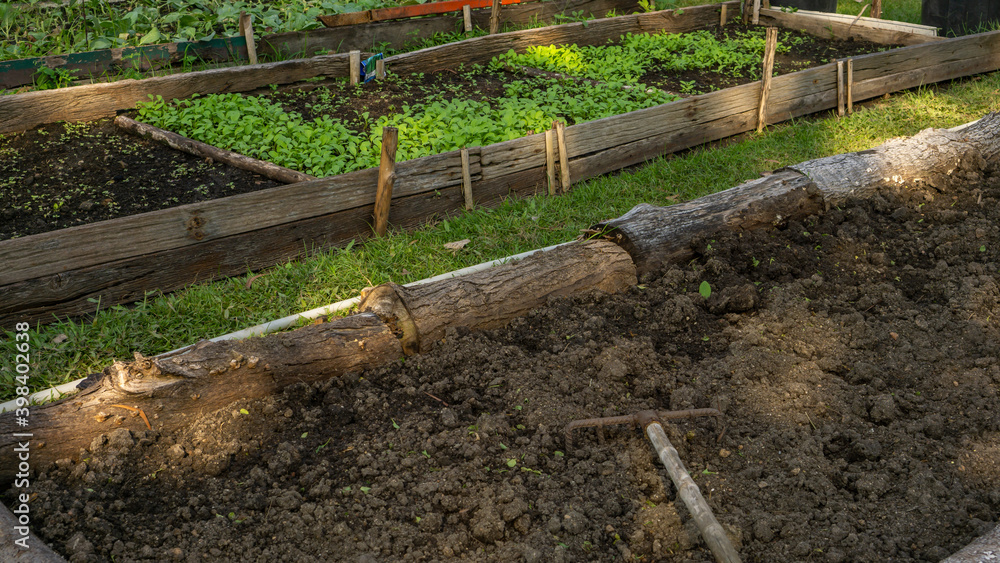 Fototapeta premium Preparing soil in wooden for plantation vegetable in garden nursery