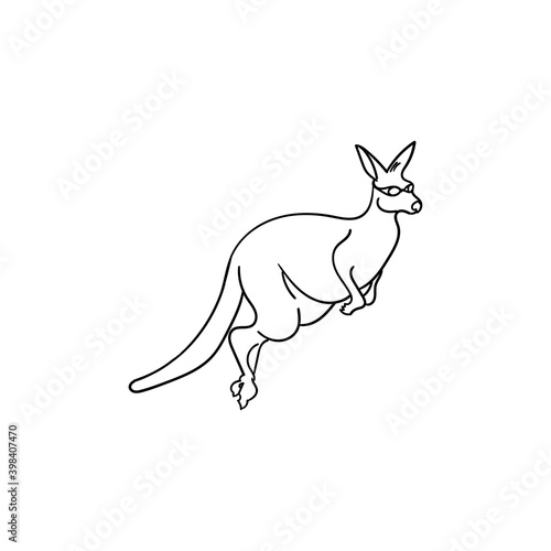 kangaro animal illustration vector. kangaro animal icon vector