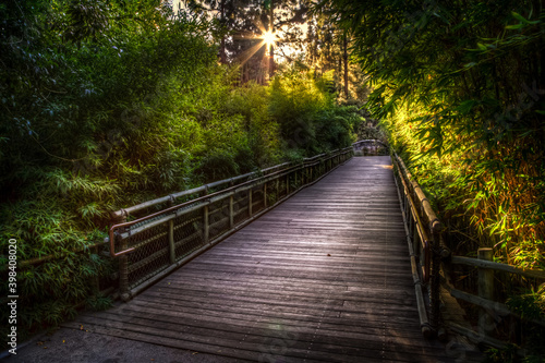 Sunbeam Over the Wooden Bridge © Stephen