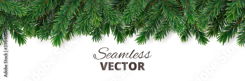 Christmas tree seamless border isolated on white. Evergreen tree branches. Fir tree festive frame. Realistic vector. For holiday headers, new year banners, winter season party posters.