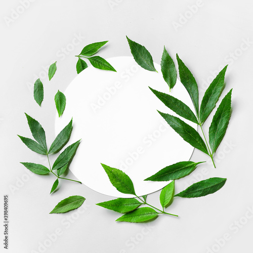 Green ash leaves and blank card on white background