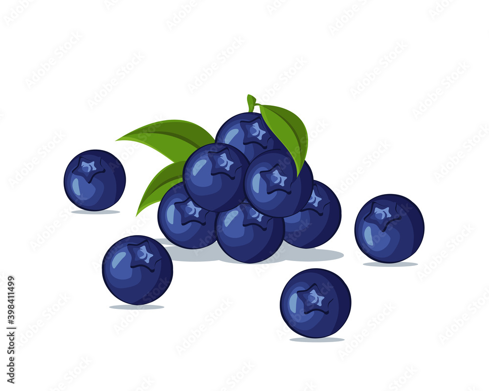 Blueberry fresh fruit vector design. Summer fruits for healthy lifestyle Blueberry fresh fruit vector design. Summer fruits for healthy lifestyle